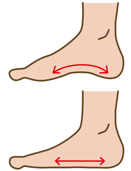 偏平足とは？